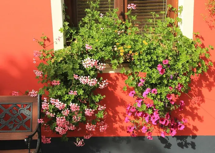 Zur Linde Hotel Hohenlinden