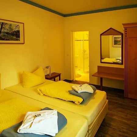 Hotel Zur Linde 3*