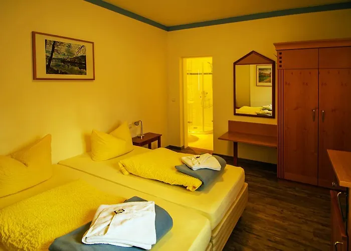 Hotel Zur Linde 3*